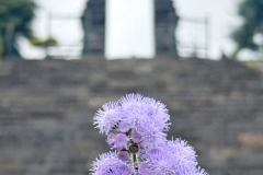 Candi-Cetho-2