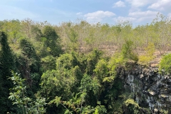 Goa-Jomblang-4