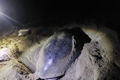 MERU BETIRI (TURTLE)